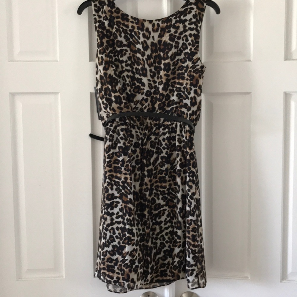 🆕 Leopard Print Dress - Picture 4 of 5